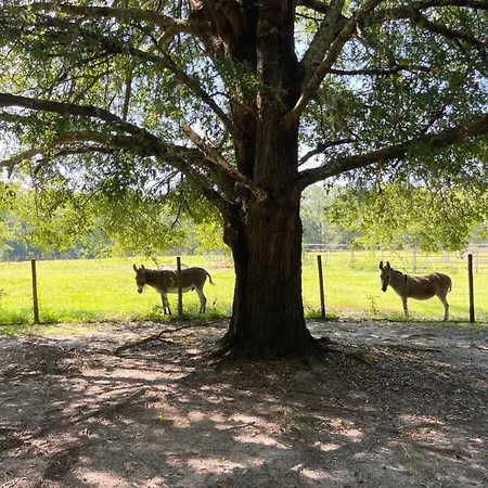 Dublin Farm-2